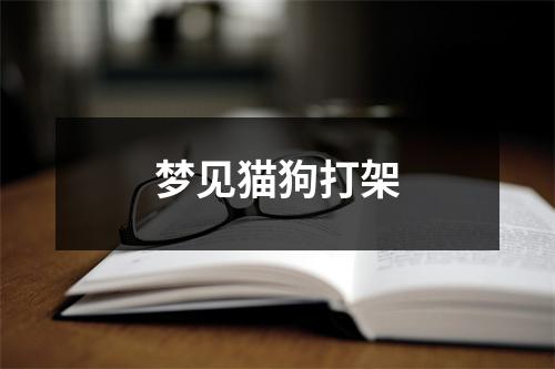 梦见猫狗打架