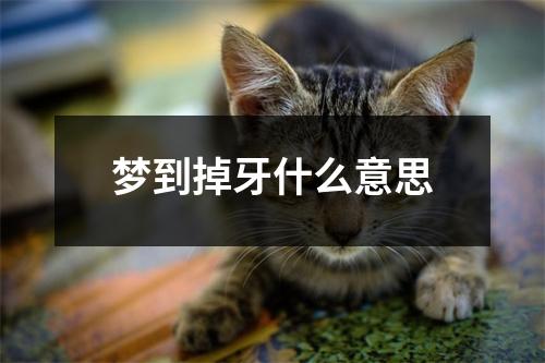 梦到掉牙什么意思