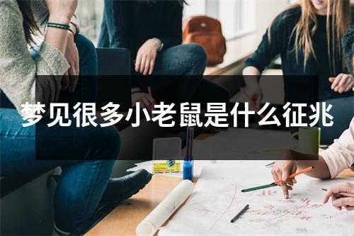 梦见很多小老鼠是什么征兆