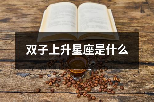 双子上升星座是什么