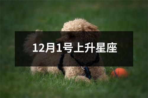 12月1号上升星座