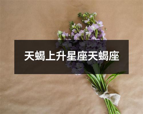天蝎上升星座天蝎座