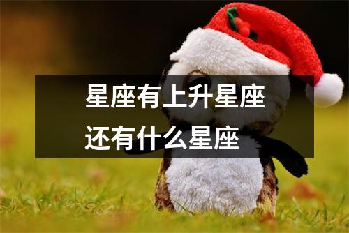 星座有上升星座还有什么星座