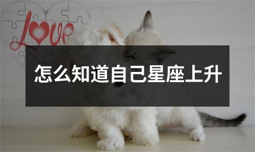 怎么知道自己星座上升
