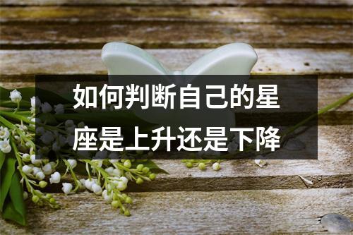 如何判断自己的星座是上升还是下降