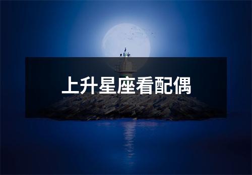上升星座看配偶