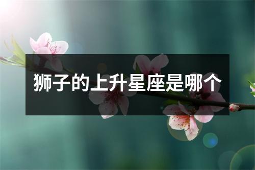狮子的上升星座是哪个
