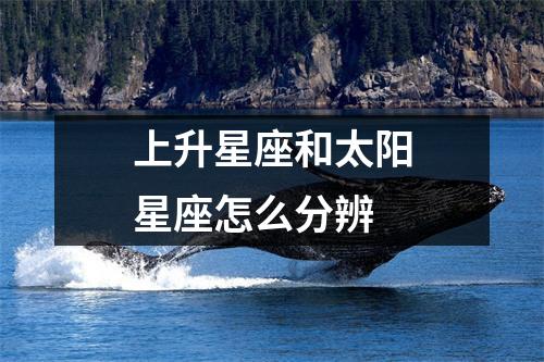 上升星座和太阳星座怎么分辨