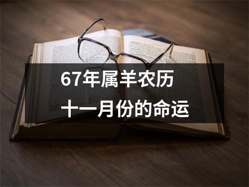 67年属羊农历十一月份的命运
