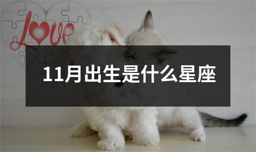 11月出生是什么星座