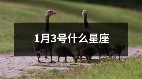 1月3号什么星座