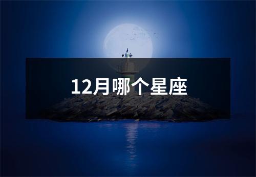 12月哪个星座