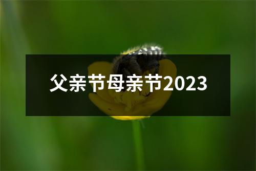 父亲节母亲节2023
