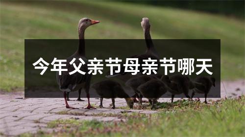 今年父亲节母亲节哪天