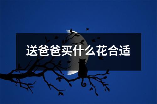 送爸爸买什么花合适