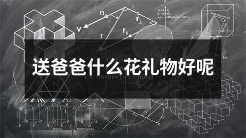 送爸爸什么花礼物好呢