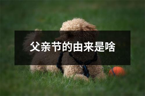 父亲节的由来是啥