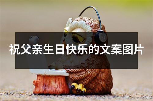 祝父亲生日快乐的文案图片