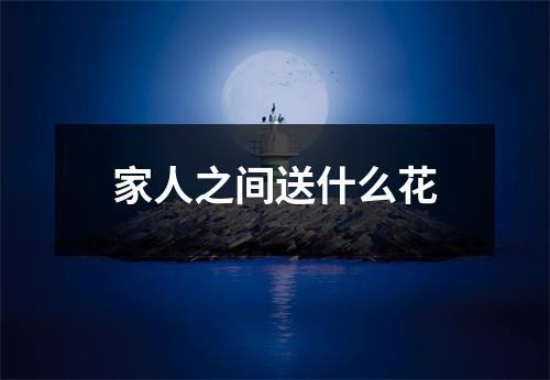 家人之间送什么花