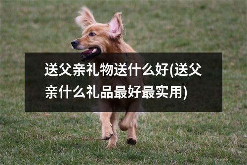 送父亲礼物送什么好(送父亲什么礼品好实用)