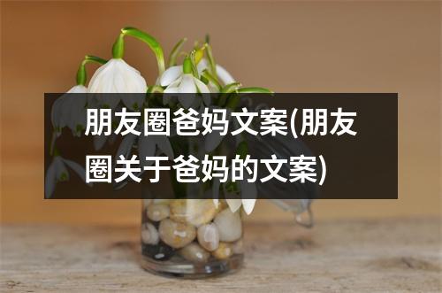朋友圈爸妈文案(朋友圈关于爸妈的文案)