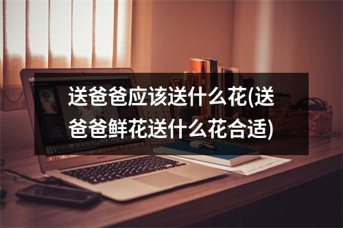 送爸爸应该送什么花(送爸爸鲜花送什么花合适)