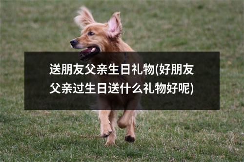 送朋友父亲生日礼物(好朋友父亲过生日送什么礼物好呢)