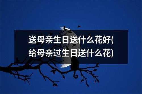 送母亲生日送什么花好(给母亲过生日送什么花)