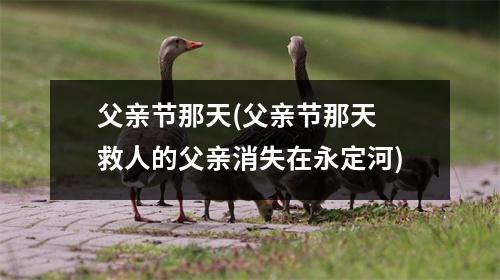 父亲节那天(父亲节那天 救人的父亲消失在永定河)