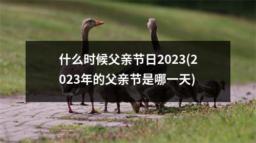 什么时候父亲节日2023(2023年的父亲节是哪一天)