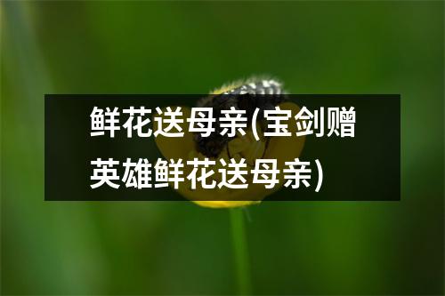 鲜花送母亲(宝剑赠英雄鲜花送母亲)