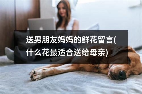 送男朋友妈妈的鲜花留言(什么花适合送给母亲)