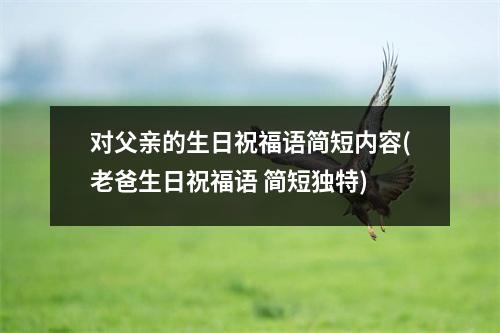 对父亲的生日祝福语简短内容(老爸生日祝福语 简短独特)