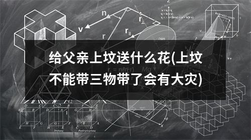 给父亲上坟送什么花(上坟不能带三物带了会有大灾)