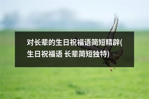 对长辈的生日祝福语简短精辟(生日祝福语 长辈简短独特)