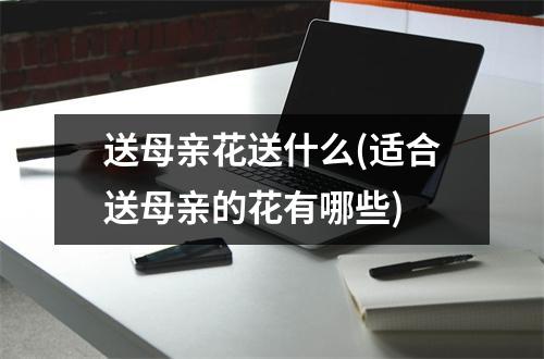 送母亲花送什么(适合送母亲的花有哪些)