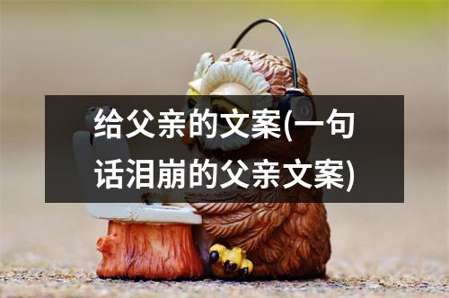 给父亲的文案(一句话泪崩的父亲文案)