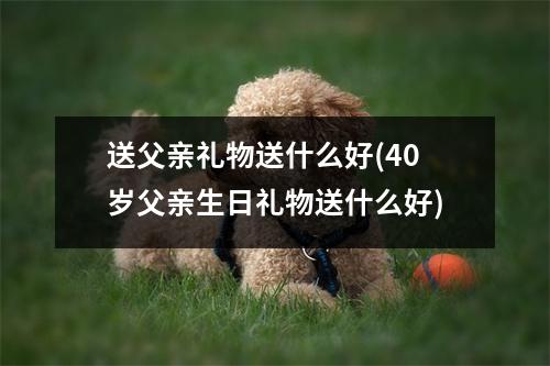 送父亲礼物送什么好(40岁父亲生日礼物送什么好)
