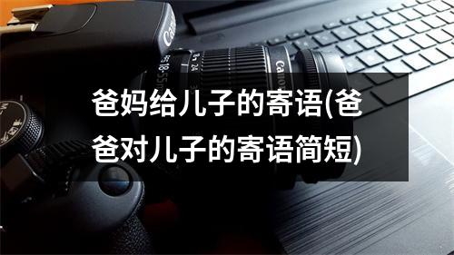 爸妈给儿子的寄语(爸爸对儿子的寄语简短)