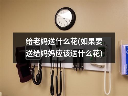 给老妈送什么花(如果要送给妈妈应该送什么花)