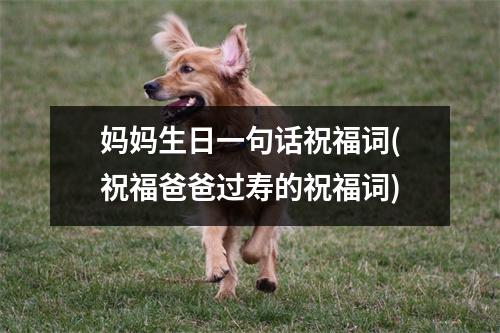 妈妈生日一句话祝福词(祝福爸爸过寿的祝福词)