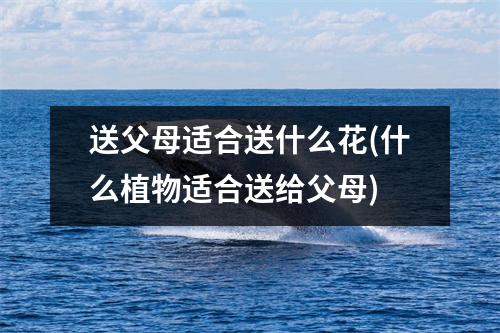 送父母适合送什么花(什么植物适合送给父母)