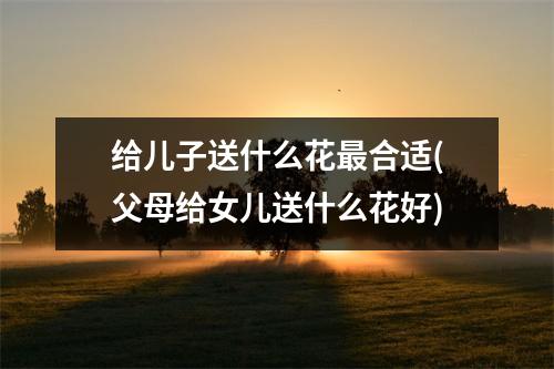 给儿子送什么花合适(父母给女儿送什么花好)