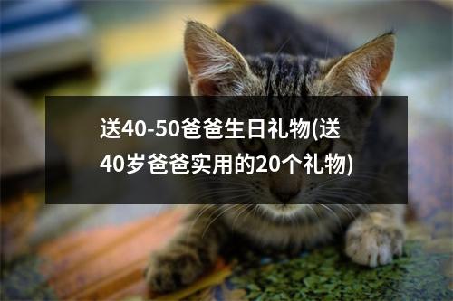 送40-50爸爸生日礼物(送40岁爸爸实用的20个礼物)
