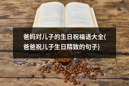 爸妈对儿子的生日祝福语大全(爸爸祝儿子生日精致的句子)