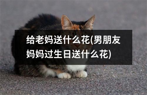 给老妈送什么花(男朋友妈妈过生日送什么花)