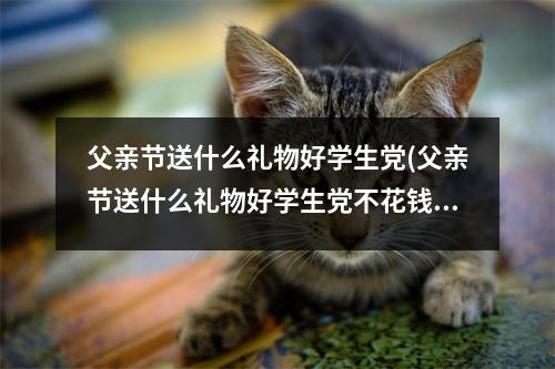 父亲节送什么礼物好学生党(父亲节送什么礼物好学生党不花钱的)