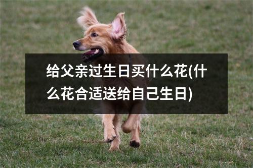 给父亲过生日买什么花(什么花合适送给自己生日)