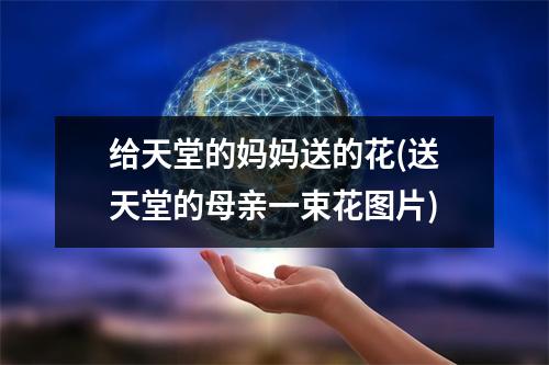 给天堂的妈妈送的花(送天堂的母亲一束花图片)