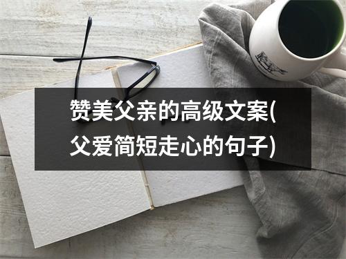 赞美父亲的高级文案(父爱简短走心的句子)